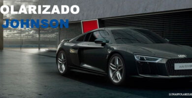 polarizado johnson